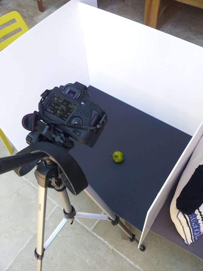 Notre "studio" de photographie culinaire Notre "studio" de photographie culinaire